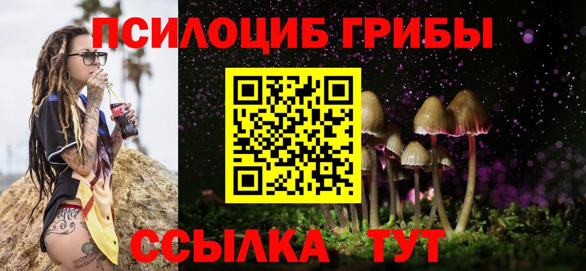 Псилоцибиновые грибы прущие грибы Холмск