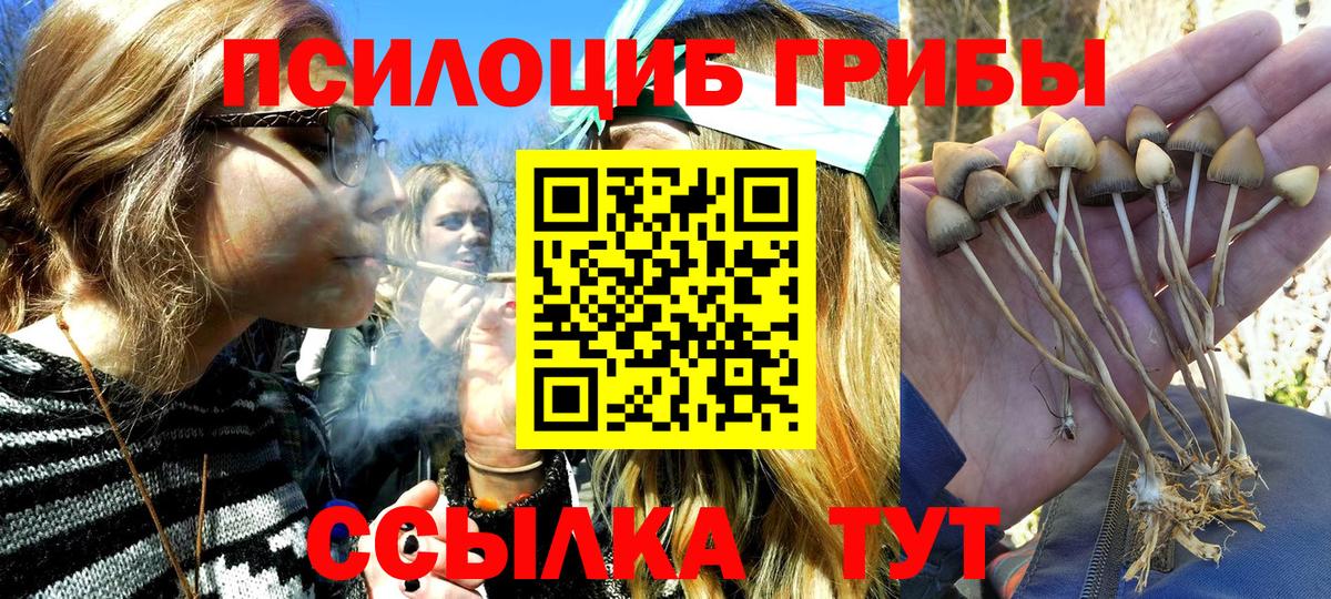 Псилоцибиновые грибы Psilocybine cubensis  Вход с VPN  Холмск 